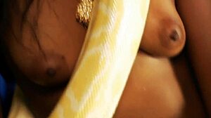 Dancing Princess Strips Nude And Teases!