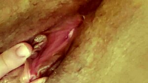 Gostosa gemendo gostoso, she moans while masturbating her natural tits and amateurs cum in homemade fun.