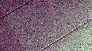 hinting at mexican wife bent over hard