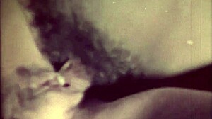 dark lantern presents the dragonfly retro cumshot scene