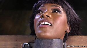 ebony babe gets pussy lips in mouse traps