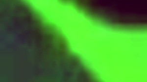 i enjoy amateur gay connections