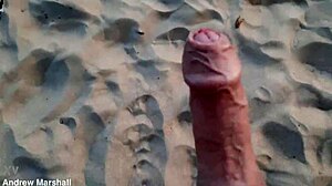 Out Now - Sensational Beach Volleyball Available Everywhere Digitally