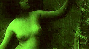 Vintage Rare Collection of Two Centuries of Pornography