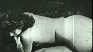 Vintage Rare Collection of Two Centuries of Pornography
