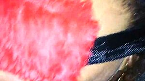 she says suck my big black cock now