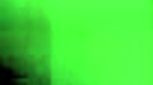 Vintage Rare Collection of Two Centuries of Pornography