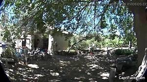 capri cavanni bts with big tits fucking and cumshot