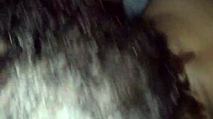 she says suck my big black cock now