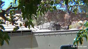 capri cavanni bts with big tits fucking and cumshot