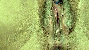 watch this close up pussy play with big black dildo?