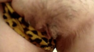 duk and david drink pee in vol 1 pussy fun