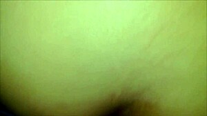 morena gostosa gets her ass eaten