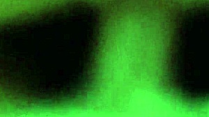 Early Morning Sex Starts With Blowjob And Fucking