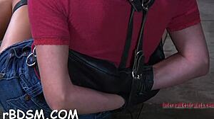 tied up in bondage exploring sadomasochism limits