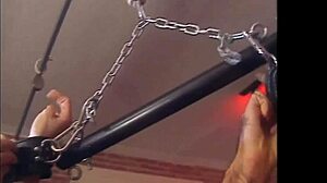 The perverse stepmom craves a blowjob and to feel her son-in-law's cock deeply