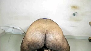 curly girl shakes her big ass for hot dick