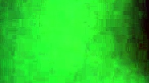 la pandita celebrates the new year with her favorite toy in private