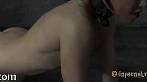 i enjoy free sadomasochism games in my spare time.