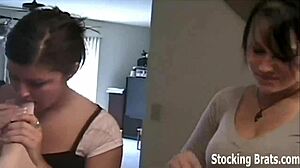 i love licking up and down her pantyhose covered legs