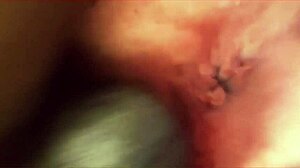 Watch this fat German MILF couple fucking hard on the boulevard!