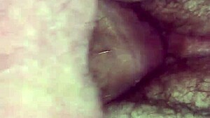 Wife's Daily Routine