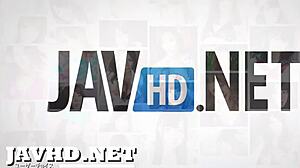 Japanese Girl's Bushy Pussy Teases in HD Amateur Compilation