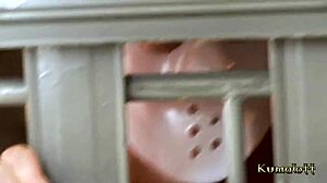 I Can't Believe I Anal Fucked a Teen Blonde Outdoors with Friends