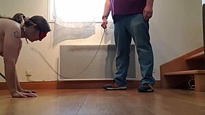 Whore's blowjob training or bdsm cumshot surprise?