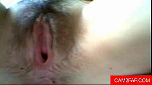 Fat Asian Pussy Webcam Amateur