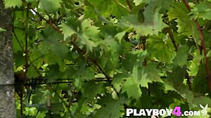 Is this petite asian teen 18+ katana posing naked outdoor?