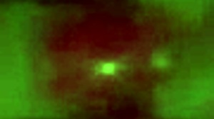 brunette sucks dick like a pro