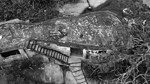 amateur sex in doggystyle with voyeur cock