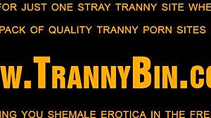 Latin shemale babe tattoos and masturbates alone