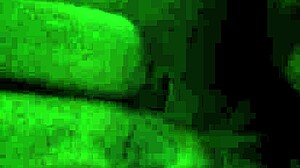 i passionately lick her wet pussy until she moans loudly