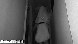 Did you see that ghost on camera?