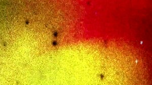 Nyxi Leon Tgirl Gets Anal and Handjob to Orgasm