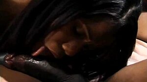 Black Tushy Pink Pussy Volume 5 Scene 13