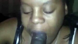 Ebony bodybuilder gets blowjob on gym bench