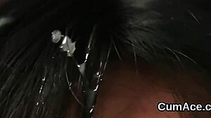 Hot Bombshell Swaps Cum After Intense Facial Bukkake Sucking