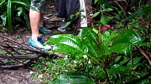 Are these machos bent over in forest orgy?