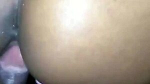 Ebony bodybuilder gets blowjob on gym bench