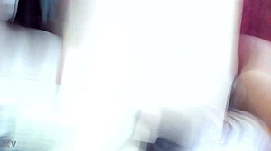 get in touch with whatsapp 9533311001 in a bold manner