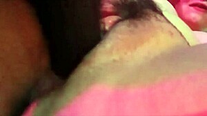 New toy brings fun and licks