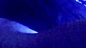 Mallory Knots Teases with Buttplug and Toys in Solo Double Penetration