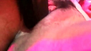 New toy brings fun and licks