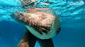 Hot Teen Amateur Slammed by BBC Underwater Thrills