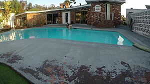 Scarlett johnson gives a blowjob by the pool, it's so hot