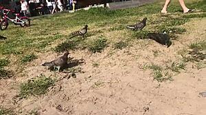 Outdoor Fun With Skinny Blonde Webcam Girl