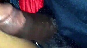 i'm lynnnasty, sucking fresh cock nastily from amateur guys in hardcore scene with cumshot